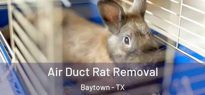  Air Duct Rat Removal Baytown - TX