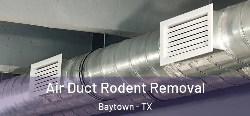  Air Duct Rodent Removal Baytown - TX