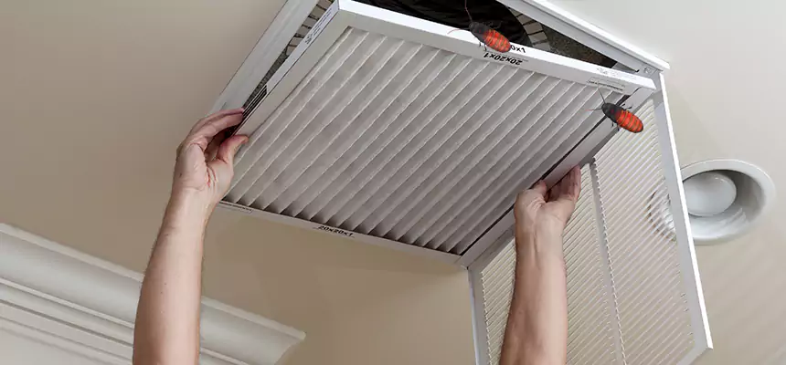 Preventive Cockroach-Proofing for Ducts in Baytown