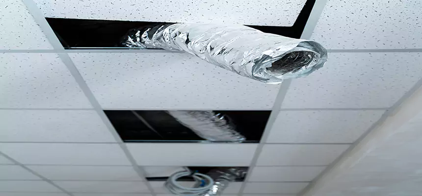 Our Air Duct Pet Hair Removal Services in Baytown, TX