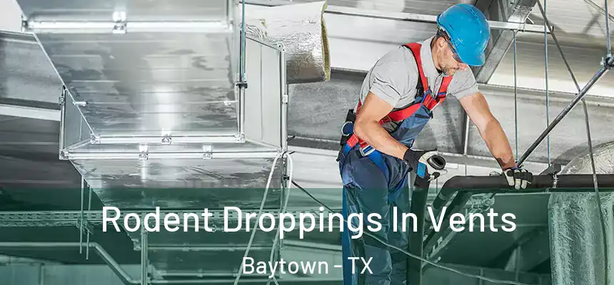  Rodent Droppings In Vents Baytown - TX