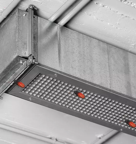 About Air Duct Cockroach Removal in Baytown, TX