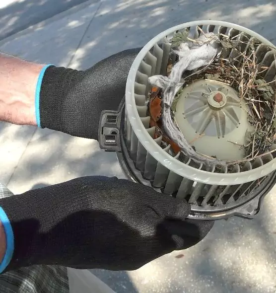 About Air Duct Mice Removal in Baytown, TX