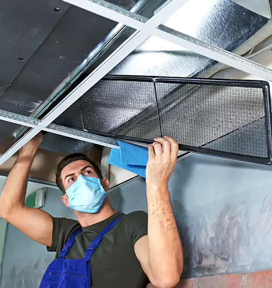 Professional Air Duct Pollen Cleaning in Baytown, TX