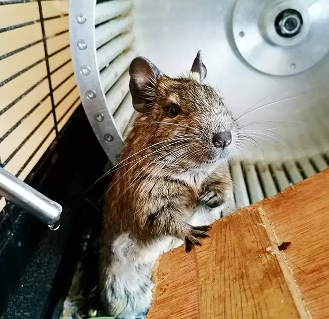 Why Homeowners & Businesses Trust Us Baytown, TX