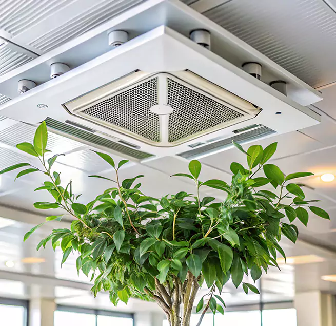 Why Homeowners & Businesses Trust Us in Baytown, TX?