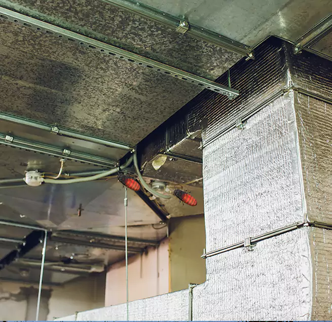 Why Homeowners & Businesses Trust Us Baytown, TX?