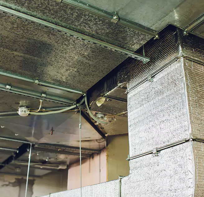 Why Homeowners & Businesses Trust Us in Baytown, TX?